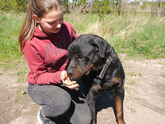 pfotenretterungarn Taz (23)