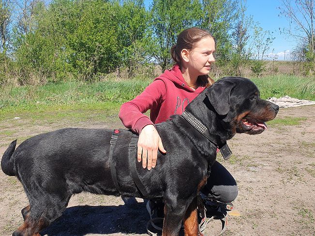 pfotenretterungarn Taz (24)