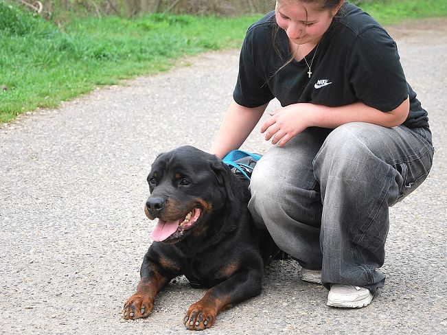 pfotenretterungarn Taz (26)