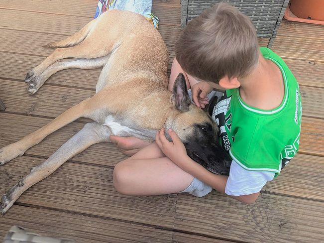 pfotenretterungarn Maze_Jenni ES (2)