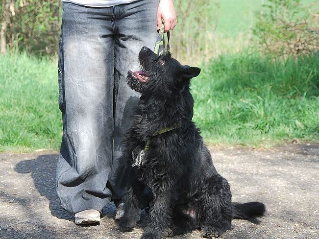 pfotenretterungarn Maxi Apr-25 (10)