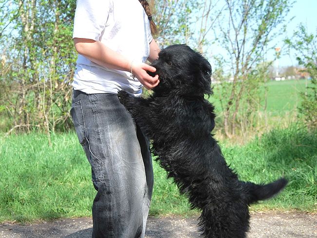 pfotenretterungarn Maxi Apr-25 (11)