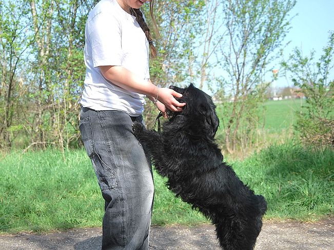 pfotenretterungarn Maxi Apr-25 (12)