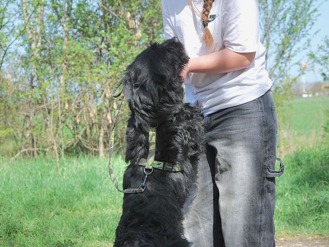 pfotenretterungarn Maxi Apr-25 (13)