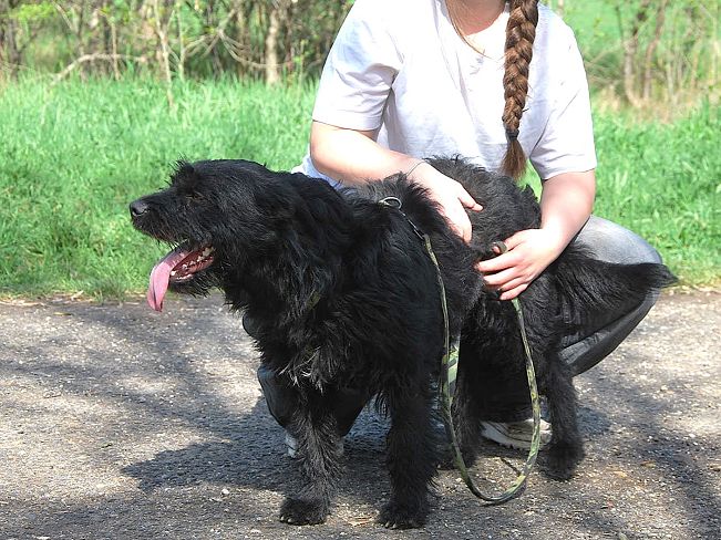 pfotenretterungarn Maxi Apr-25 (14)