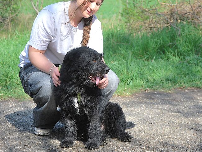 pfotenretterungarn Maxi Apr-25 (15)