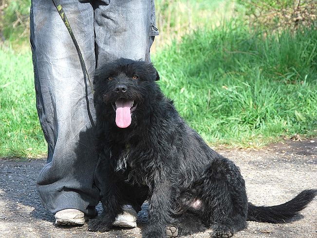 pfotenretterungarn Maxi Apr-25 (16)