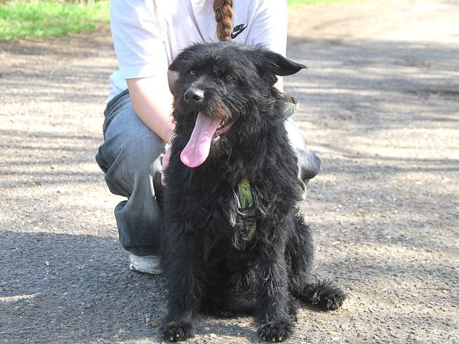 pfotenretterungarn Maxi Apr-25 (17)