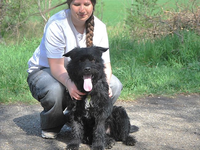 pfotenretterungarn Maxi Apr-25 (18)