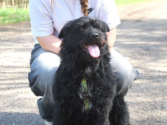 pfotenretterungarn Maxi Apr-25 (2)