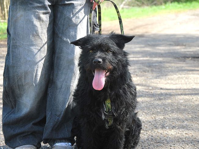 pfotenretterungarn Maxi Apr-25 (3)