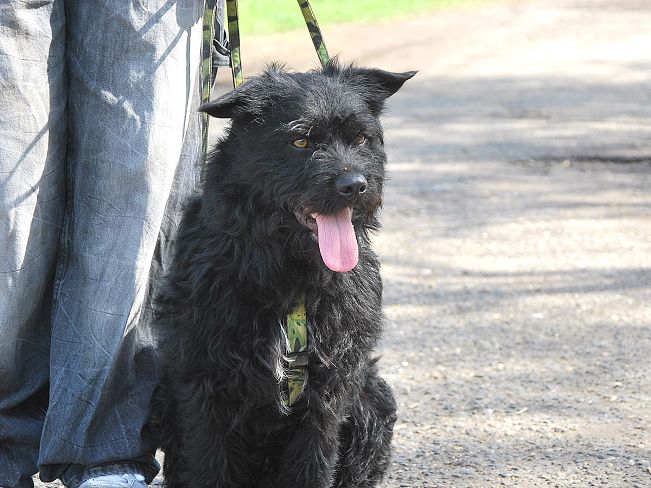 pfotenretterungarn Maxi Apr-25 (4)