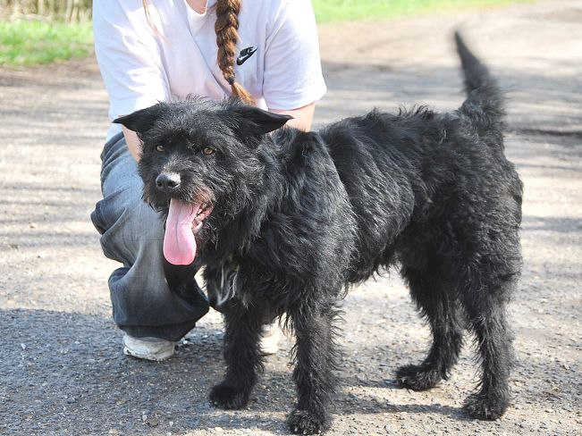 pfotenretterungarn Maxi Apr-25 (5)