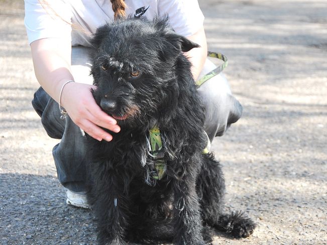 pfotenretterungarn Maxi Apr-25 (6)