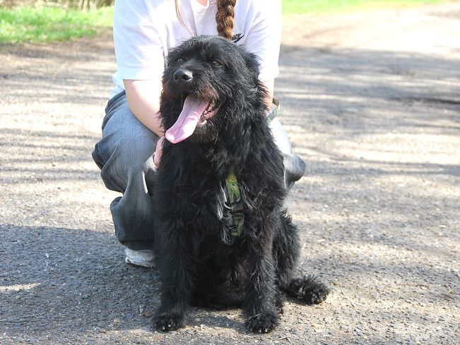 pfotenretterungarn Maxi Apr-25 (7)