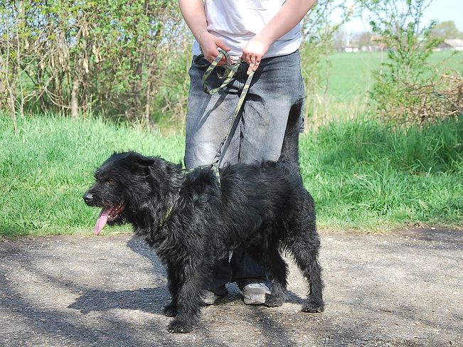 pfotenretterungarn Maxi Apr-25 (8)