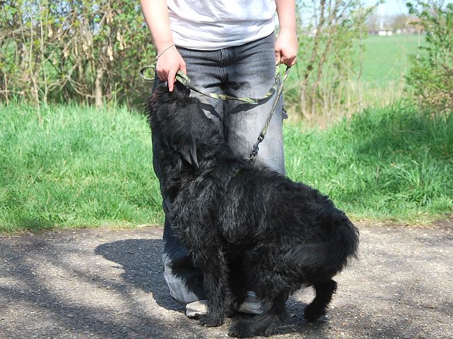 pfotenretterungarn Maxi Apr-25 (9)