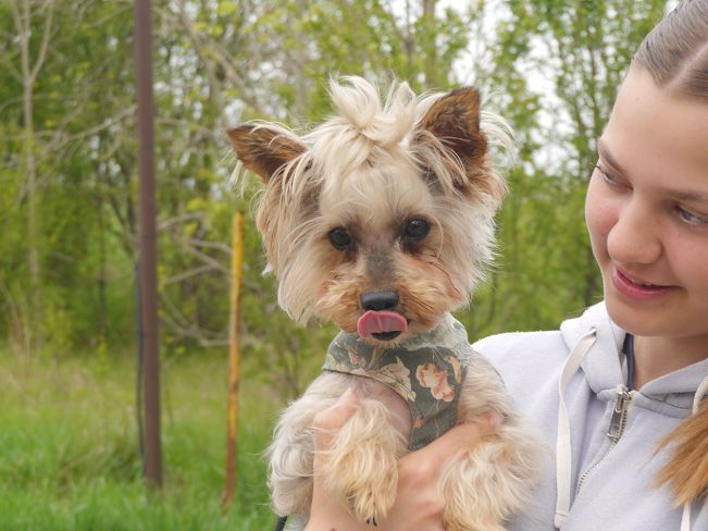 pfotenretterungarn Szofi (12)