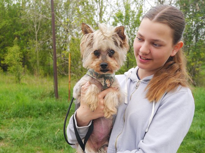 pfotenretterungarn Szofi (3)