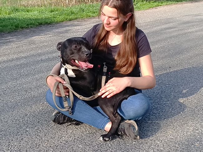 pfotenretterungarn Luca (22)