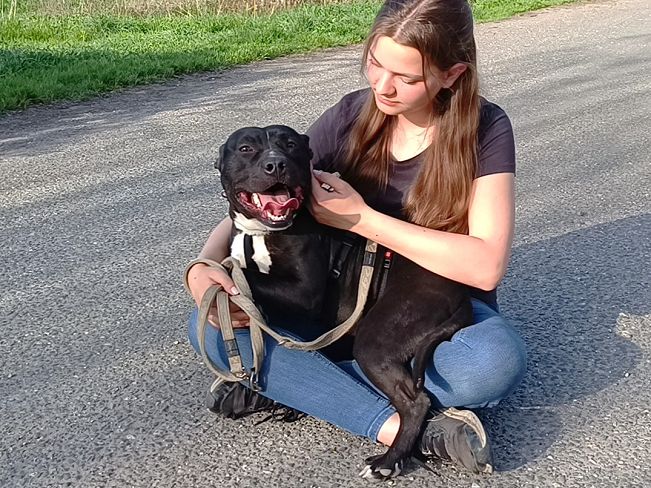 pfotenretterungarn Luca (23)