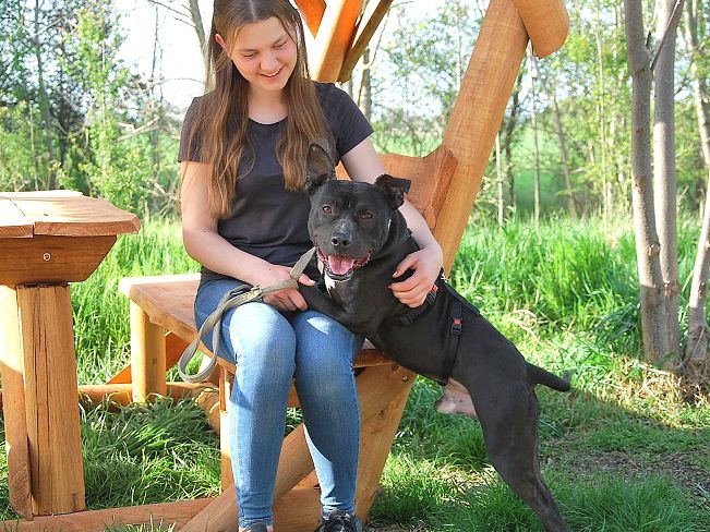 pfotenretterungarn Luca (3)