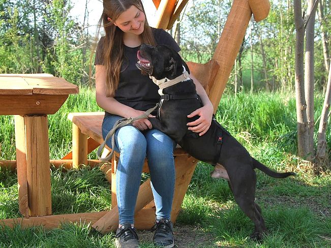 pfotenretterungarn Luca (7)