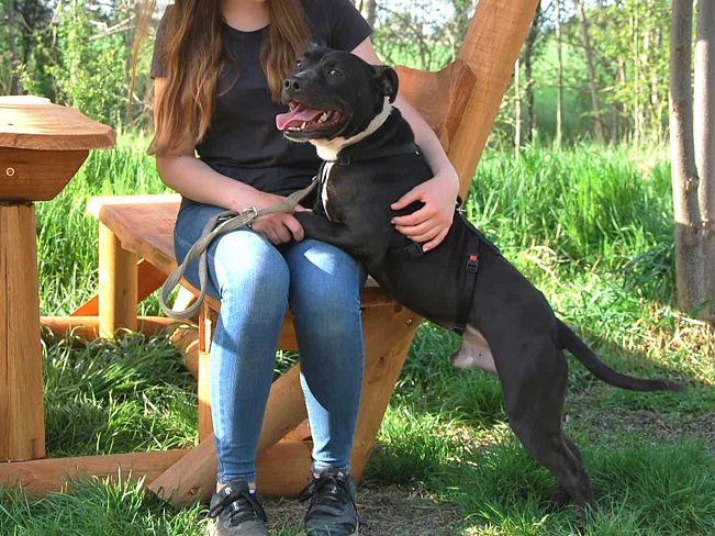 pfotenretterungarn Luca (8)