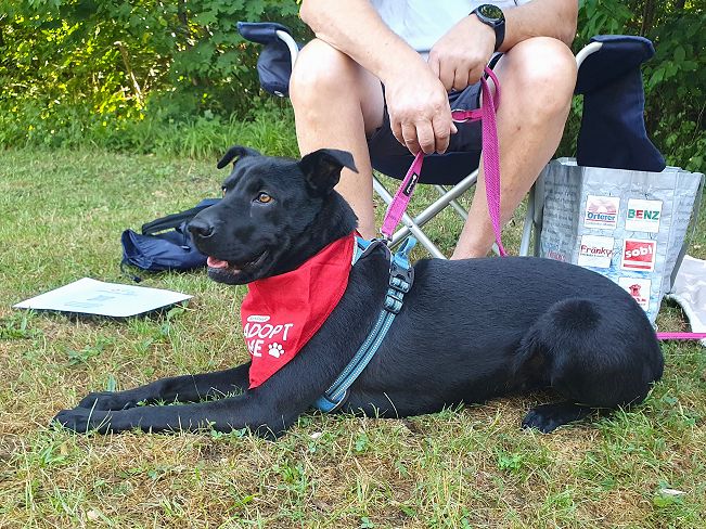 pfotenretterungarn Tia PS (14)