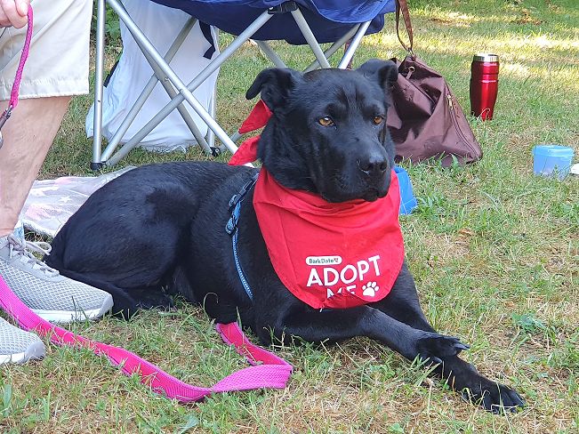 pfotenretterungarn Tia PS (17)