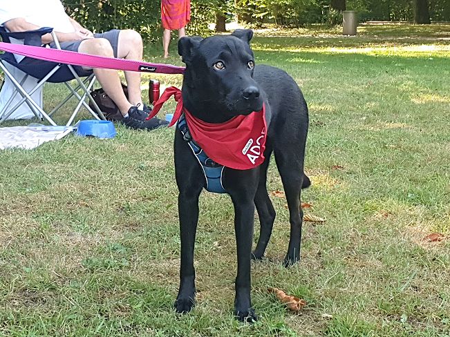 pfotenretterungarn Tia PS (21)