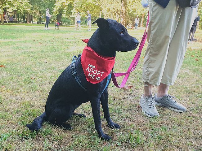 pfotenretterungarn Tia PS (24)