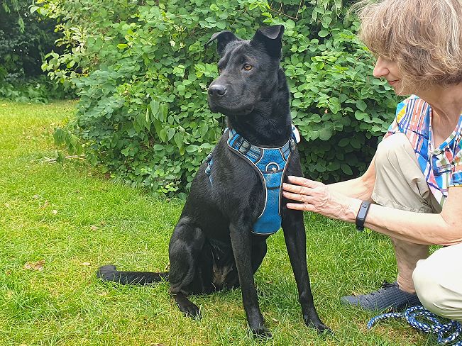 pfotenretterungarn Tia PS (6)