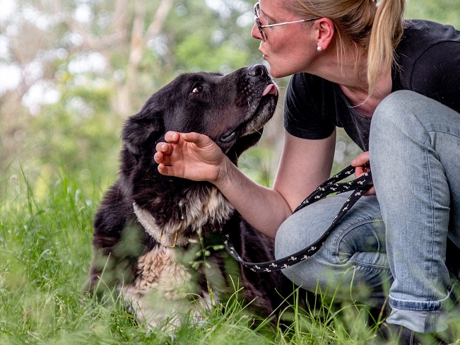 pfotenretterungarn Emmy alt (2)