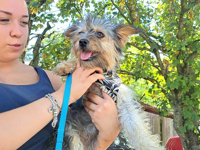 pfotenretterungarn Anahita (3)