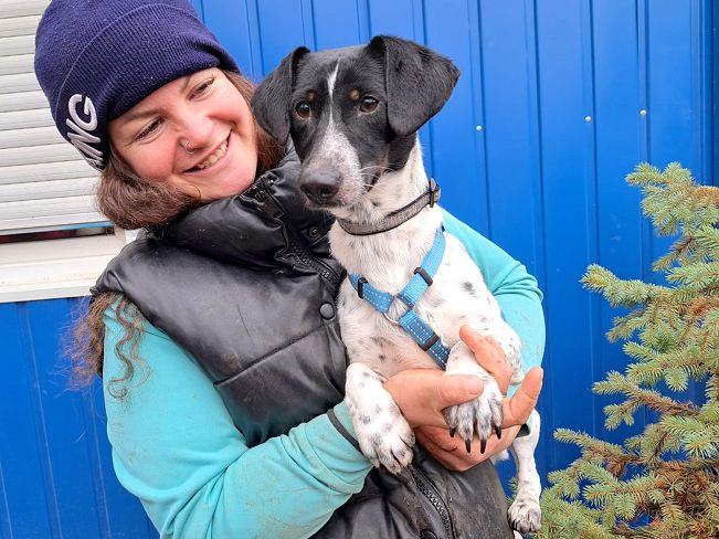 pfotenretterungarn Kony PS (1)