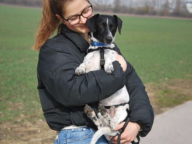 pfotenretterungarn Kony PS Gabi (16)