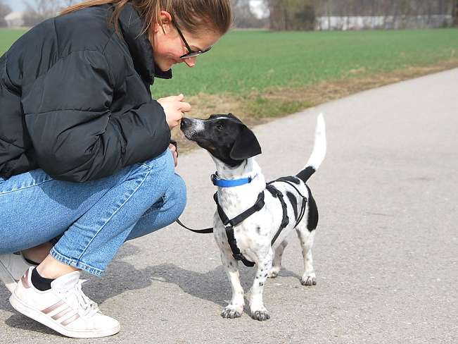 pfotenretterungarn Kony PS Gabi (20)