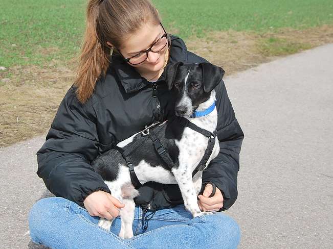 pfotenretterungarn Kony PS Gabi (21)