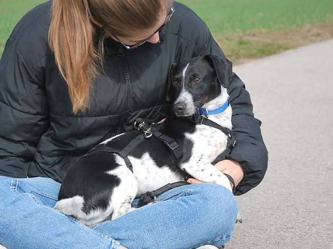 pfotenretterungarn Kony PS Gabi (22)