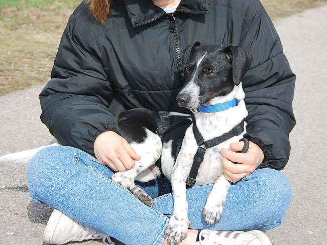 pfotenretterungarn Kony PS Gabi (24)