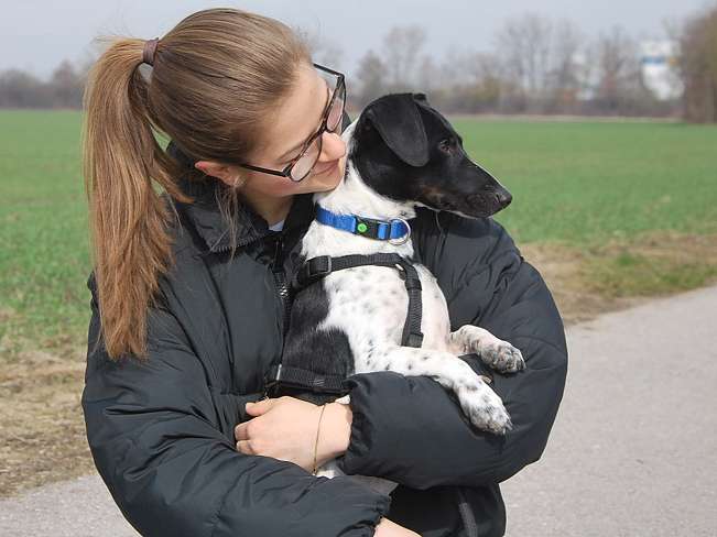 pfotenretterungarn Kony PS Gabi (25)