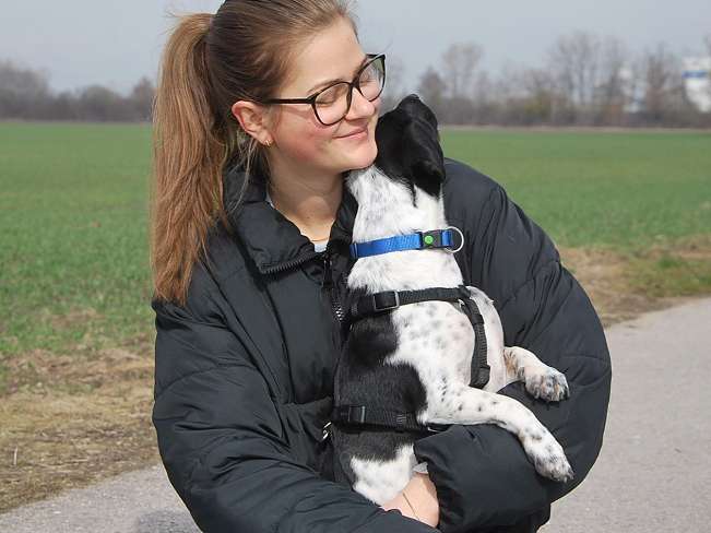 pfotenretterungarn Kony PS Gabi (26)