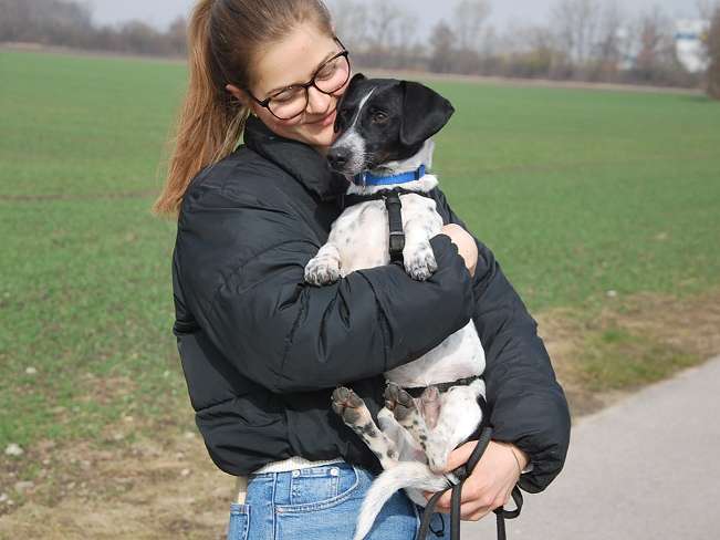 pfotenretterungarn Kony PS Gabi (27)