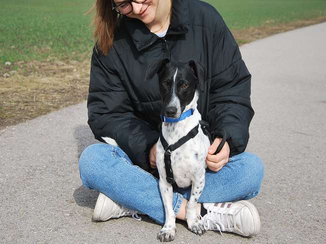 pfotenretterungarn Kony PS Gabi (35)