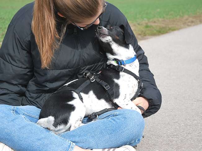 pfotenretterungarn Kony PS Gabi (4)