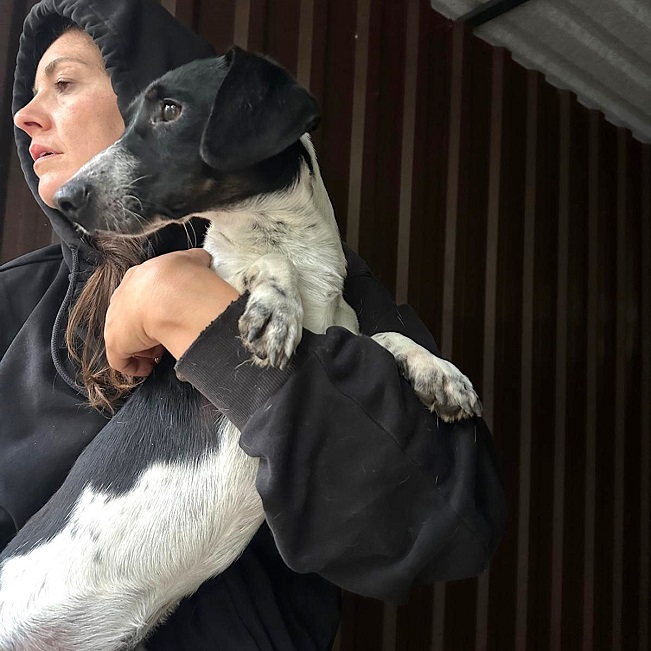 pfotenretterungarn Kony neu FEIN (5)