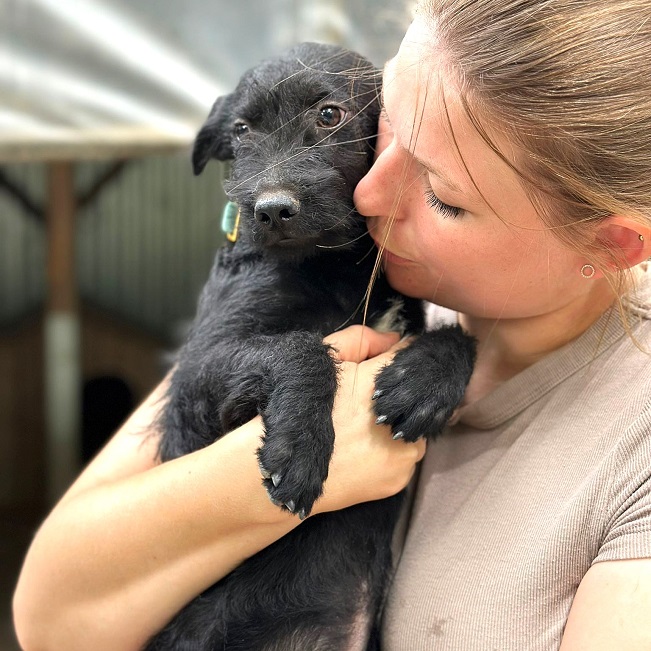 pfotenretterungarn Mickey (7)