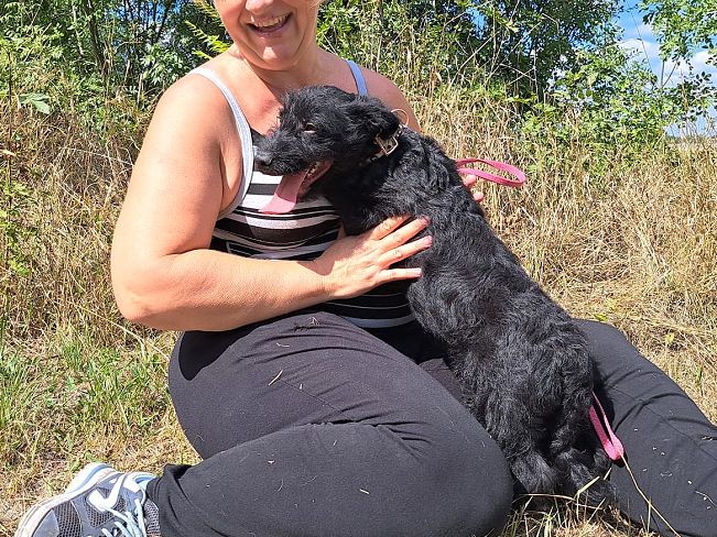 pfotenretterungarn Mogli (10)