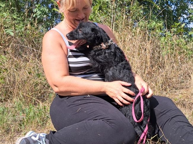 pfotenretterungarn Mogli (9)